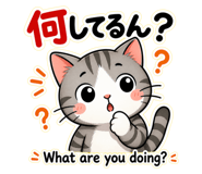 845627146