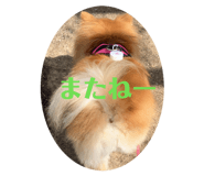 845627366