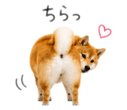 845627514
