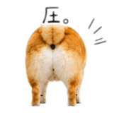 845627516