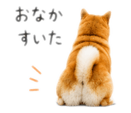 845627518