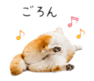845627520