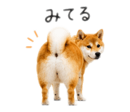 845627522