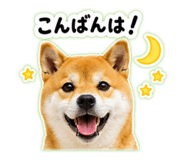 845627997