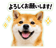 845628001