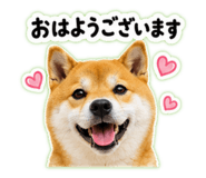 845628002