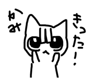 845628546