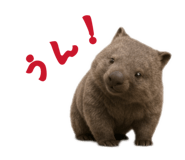 845628850