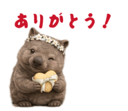 845628856