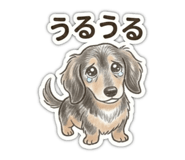 845628985