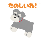 845629628