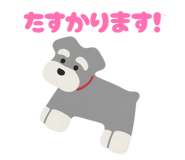 845629630