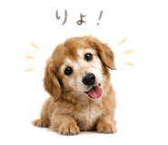 845630226