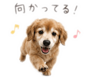 845630235