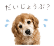 845630245
