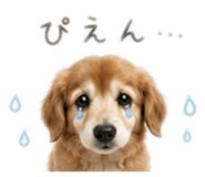 845630250