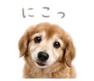 845630251