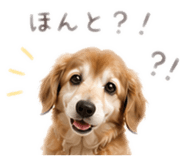 845630255