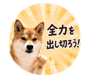 845630324