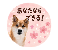 845630328