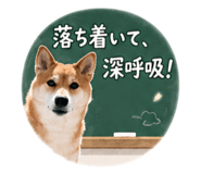 845630329