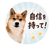 845630330