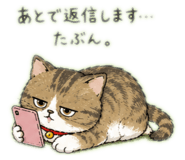 845631155