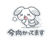 845631204