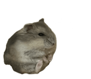 845631953