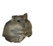 845631954