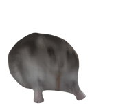 845631956