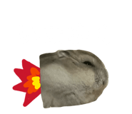 845631957