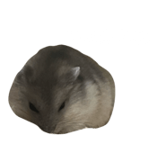 845631958