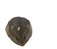 845631960