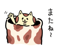845632050