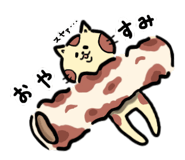 845632051