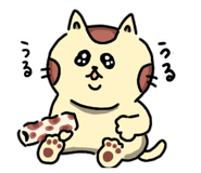 845632056