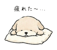 845632205