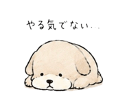 845632215