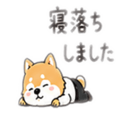 845632361