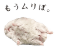845632586