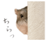 845632588