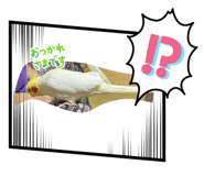 845632704