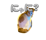 845632705
