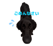 845632863