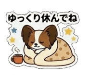 845633039