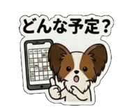 845633055