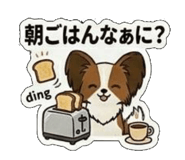 845633056