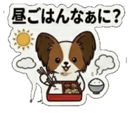 845633057