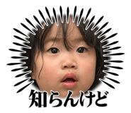 845633110